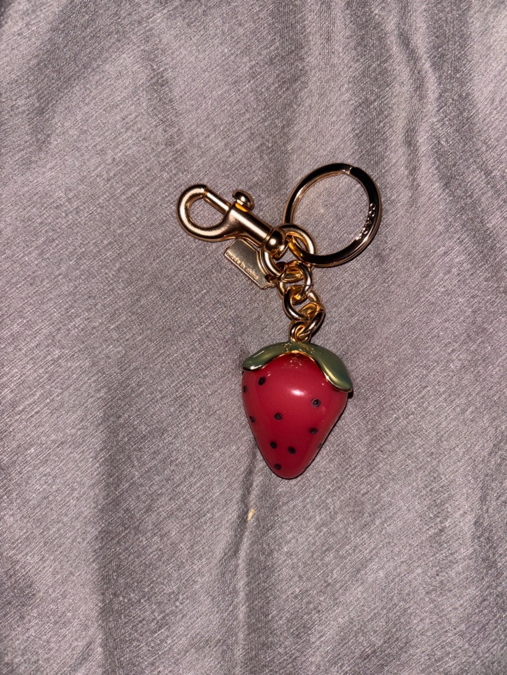 Coach bag charm